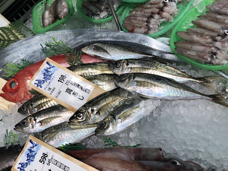愛媛県産鮮魚